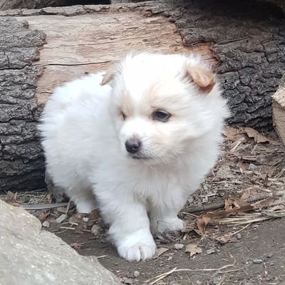 kimec16849's profile picture. 