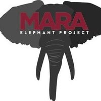 Mara Elephant Project(@MaraElephant) 's Twitter Profile Photo