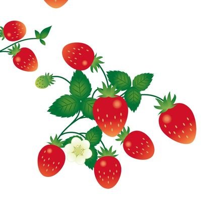 大好き推しカプ推すアカ🍓かなり前に成人済み🍓BL✨️ハッピーエンド大好き🍓BL好きな方と仲良くなりたいです。無言フォロー失礼します