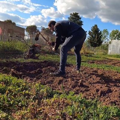 Hace 6 años me fui de Madrid y me vine a vivir al campo. Buscavidas rural.