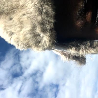 BrunoAlele's profile picture. Business Enterprenure