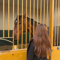 Ceren (@cerencak1r) Twitter profile photo