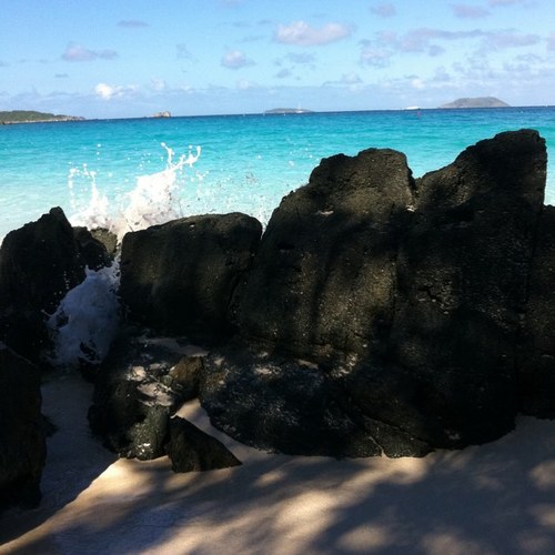 pedalsquares's profile picture. 