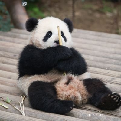 B_dangyys1016's profile picture. 