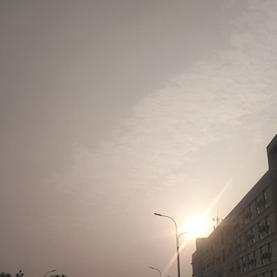 wjimng1797791's profile picture. 刚毕业，清纯大学生