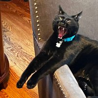 B. Smotzer (@thomasf29126591) 's Twitter Profile Photo B. Smotzer (@thomasf29126591) 's Twitter Profile Photo