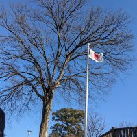 身知子 (@shenzhizi141433) 's Twitter Profile Photo