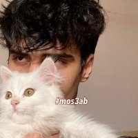 البينو الحكمدار (@alben0o1) 's Twitter Profile