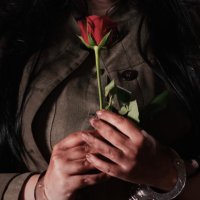 RozkvetFilm (@rozkvetfilm) 's Twitter Profile Photo RozkvetFilm (@rozkvetfilm) 's Twitter Profile Photo