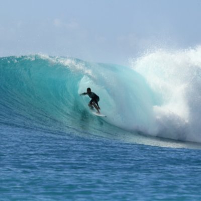 趣味：サーフィン🏄、筋トレ🏋️、旅行🚗
去年からFXの勉強をしておりちょいちょいトレードにも慣れてきたのでX初めて見ました！