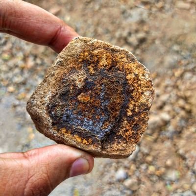 Abhishe38094694's profile picture. Learning to Code.