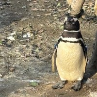 mit (@mit162117) 's Twitter Profile