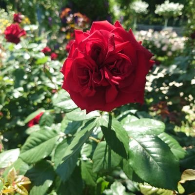 4月で言語聴覚士8年目になります。
病院から老健・訪問へ。
四苦八苦の日々は続く…。
無言フォロー失礼します。