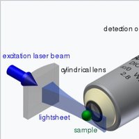 Light-Sheet Fluorescence Microscopy (LSFM)(@LSFM_NA) 's Twitter Profile Photo