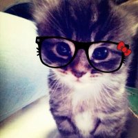 LoLA (@helokitty67) 's Twitter Profile
