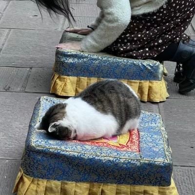 APortporn52859's profile picture. 