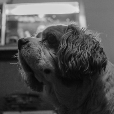 Dave1234u's profile picture. I’m male. FREO DOCKERS I have opinions. I can disagree with someone and still be friends. I get heated.