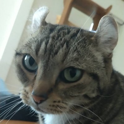 まにまにさんのプロフィール画像
