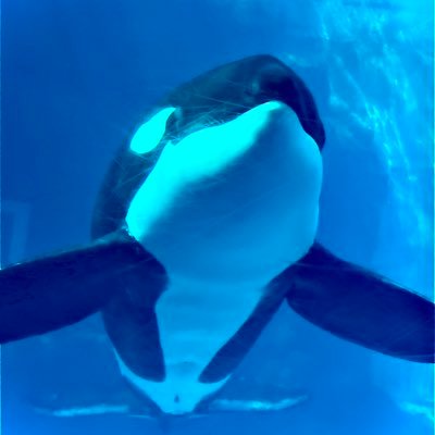 huu_rider's profile picture. 就活きつすぎて仲間と情報が欲しい