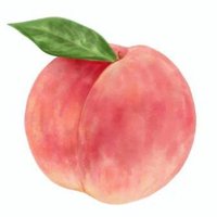 高橋店長🍑LiveChatCafe町田店🌷 (@momo_lcc) 's Twitter Profile