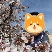 im19🐶 (@1919ing) 's Twitter Profile