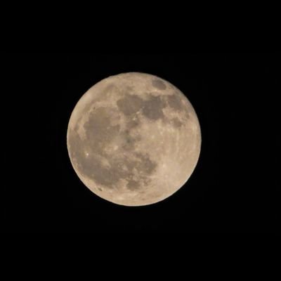 nori3062's profile picture. 