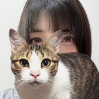 ちぃちゃん🐾 (@sora_somari) Twitter profile photo