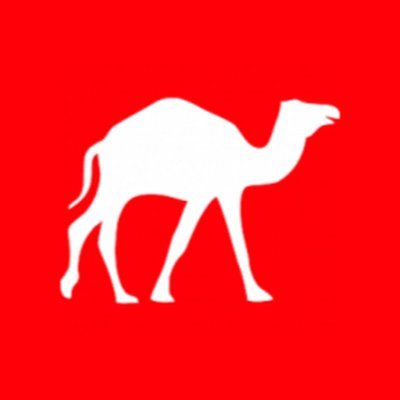 Shaash907's profile picture. Crypto Daily