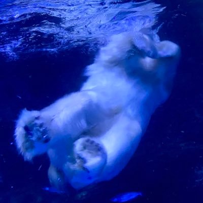 咲弥さんのプロフィール画像