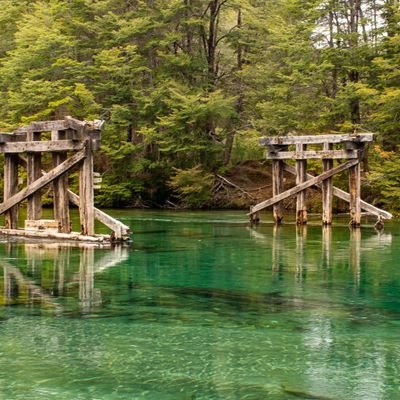 jefe_21k's profile picture. C.P.N.🧮
Libertario🗽