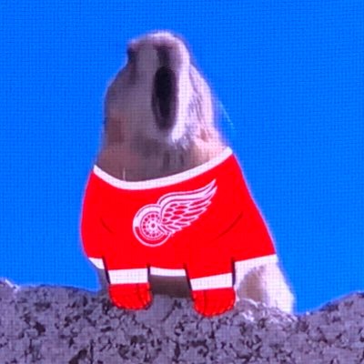 ToledoRocket88's profile picture. #LGRW 🏆 #GoBlue