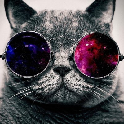 Lyzer02's profile picture. 