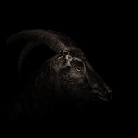 EggersFilms (@eggersfilms) 's Twitter Profile Photo EggersFilms (@eggersfilms) 's Twitter Profile Photo