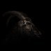 EggersFilms (@eggersfilms) Twitter profile photo EggersFilms (@eggersfilms) Twitter profile photo