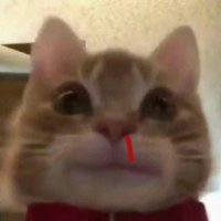 why don't we? (@round2_back) 's Twitter Profile