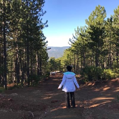 fenciben's profile picture. 