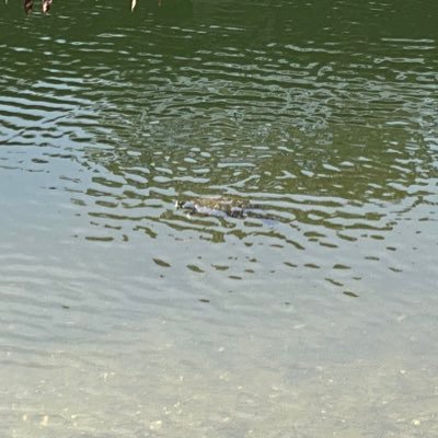 Mr_competitive5's profile picture. Fuck bitches Get money💪😆