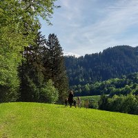 Gregor Rak (@gregor_rak) 's Twitter Profile
