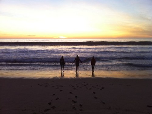 jillvano's profile picture. 