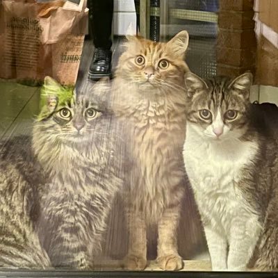 NadiaRainaldi's profile picture. 