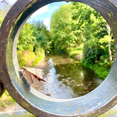 Cannon Hill Park