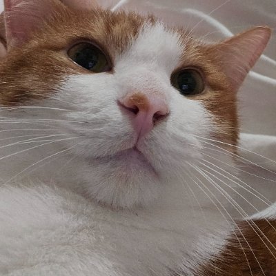 BOBO77ETH's profile picture. done farming these useless shit