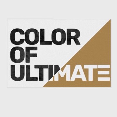 Hosting showcase games that highlight ultimate's best players of color. Raising awareness about the racial and socioeconomic inequities in ultimate.