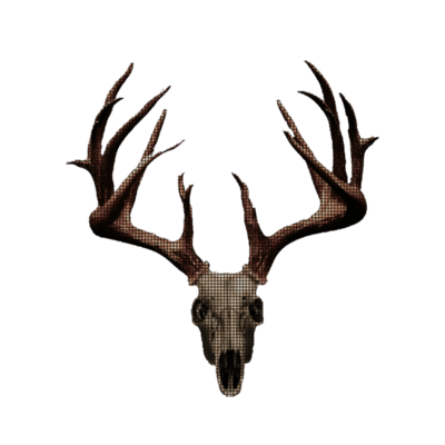 ofthepolar's profile picture. ⠀⠀⠀⠀⠀⠀ ⠀⠀⠀⠀ ⠀⠀ ⠀ ⠀⠀ ⠀ ⠀  ⠀⠀ ⠀ ⠀⠀   ⠀⠀⠀⠀⠀⠀⠀⠀ ⠀⠀⠀⠀
⠀⠀⠀⠀ ⠀
⠀⠀⠀⠀ ⠀