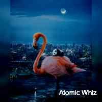 wwi_zhatomic's profile picture. Crypto and nft enthusiast | $eth | $btc | nflallday | zedrun | wickedcraniums | seizetheculture