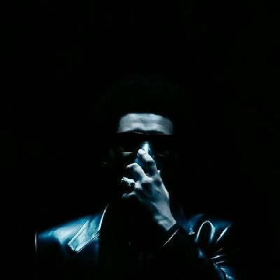 zephyr161239's profile picture. 