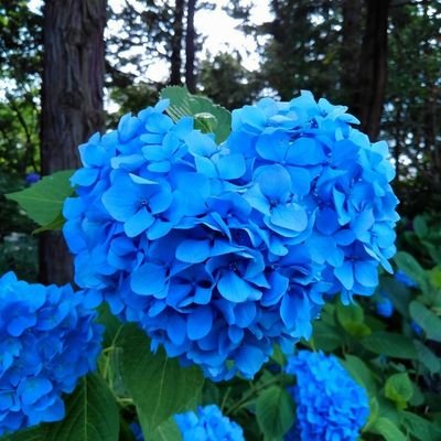 跡地さんのプロフィール画像