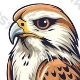 ابو خالدالعنزي (@abokhaleed220) 's Twitter Profile