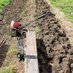 Mark Dawkins (@plot4veg) Twitter profile photo Mark Dawkins (@plot4veg) Twitter profile photo