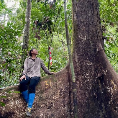 Palasiah_Jotan's profile picture. PhD student in Forest Biology @CZUvPraze | wood anatomy | tree hydraulics | tropical rainforests | Borneo